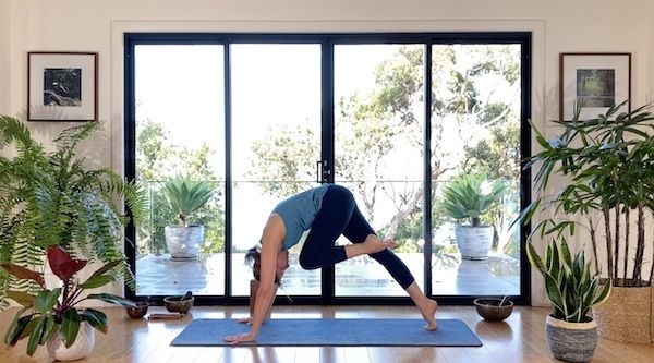 Vinyasa Essentials Session 3
